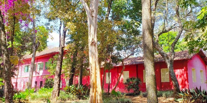 Natural History Museum and Botanical Garden UFMG