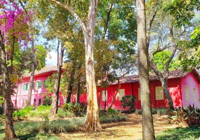 UFMG Natural History museum and Botanic Gardens