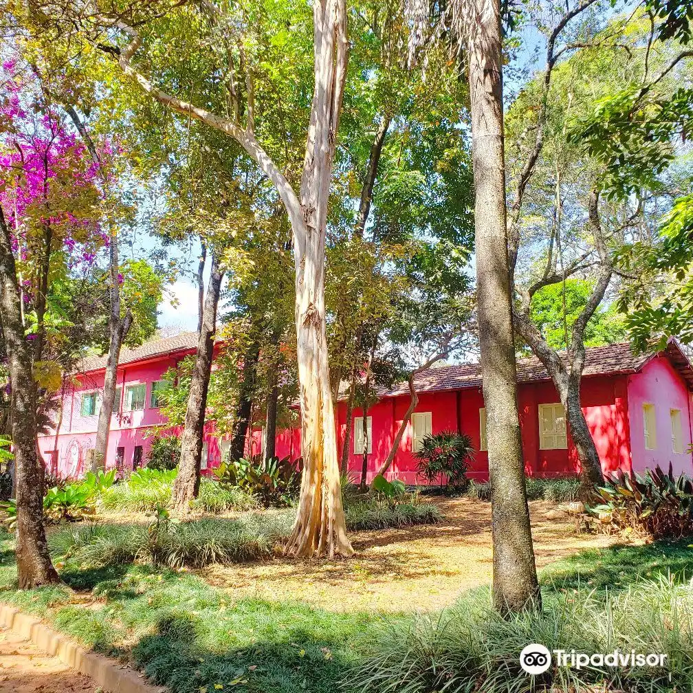 Hotels near Natural History Museum and Botanical Garden UFMG
