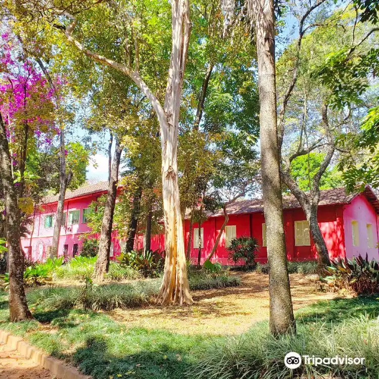 Hotels near Natural History Museum and Botanical Garden UFMG