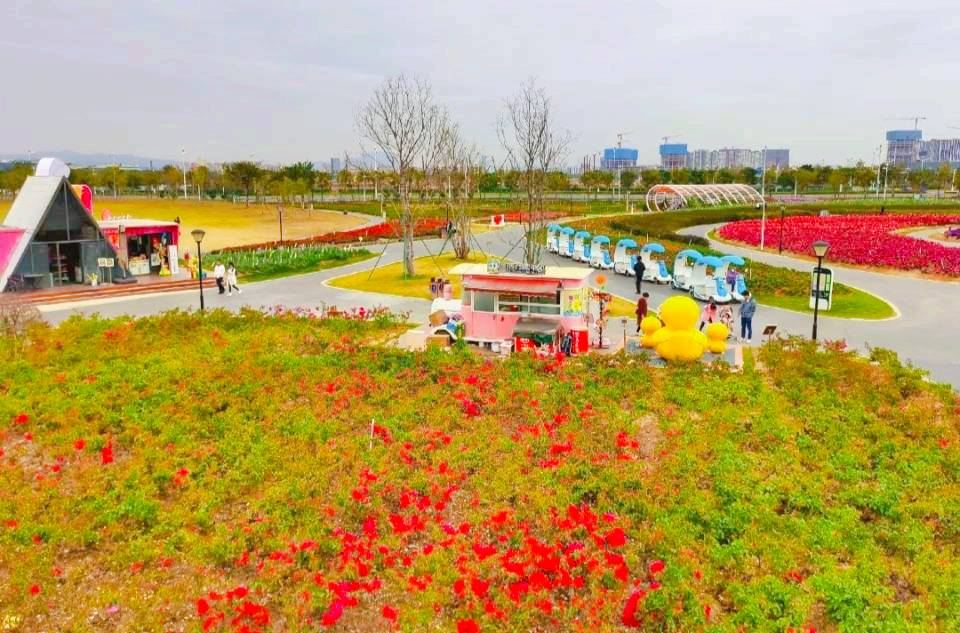 Binhai Bay Flower Sea