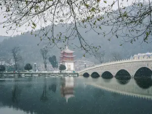 The Wanghai Tower