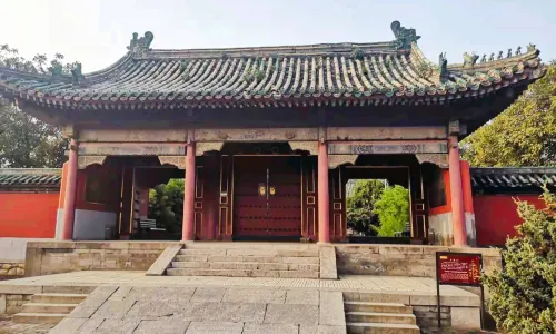 Yuan Forest