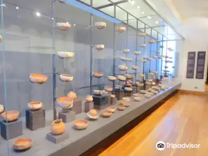 Museo Andino