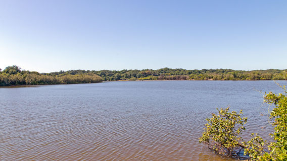 Wusulijiang National Wetland Park