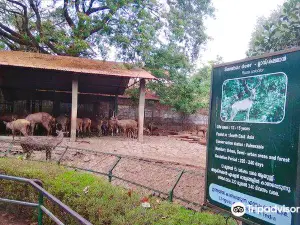 Thrissur Zoo & Museum