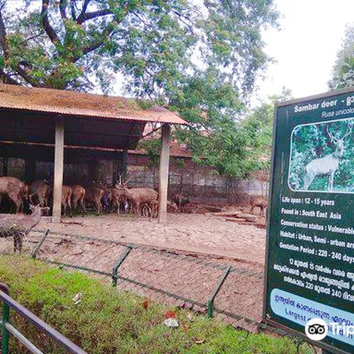 Thrissur Zoo & Museum
