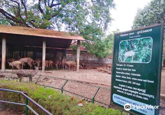 Hotels near Thrissur Zoo & Museum