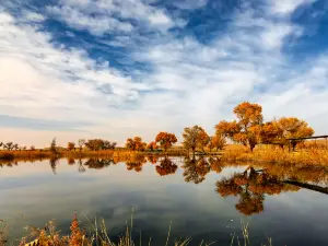 Bosten Lake