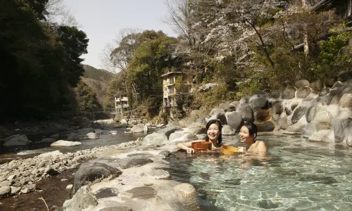 Hot Springs in Izu