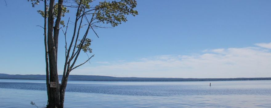 Mayfield Town Beach