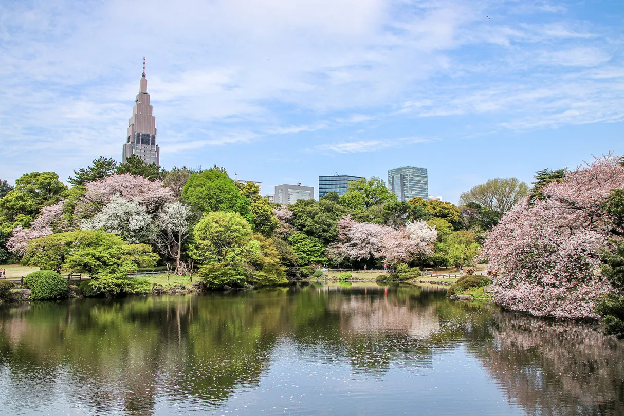 อุทยานแห่งชาติชินจูกุเกียวเอน