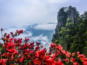 Popular Spring Outings in Anfu