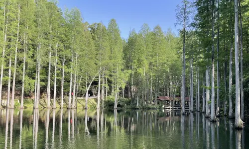 สวนป่าโพรเด้น