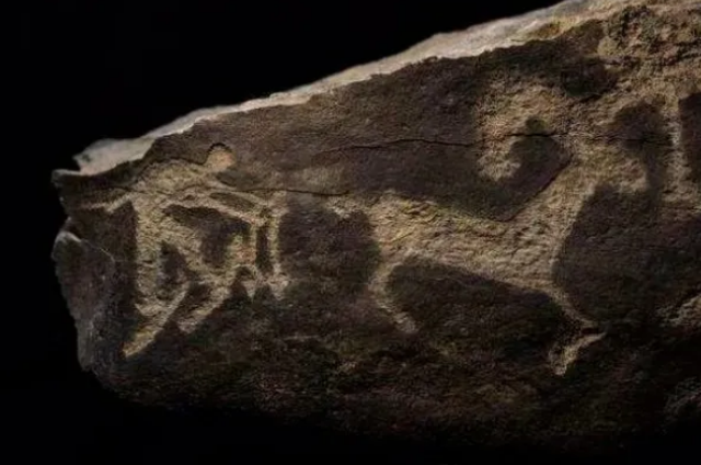 《樸拙美麗 石閱千年》新疆伊犁哈薩克自治州巖畫拓片藝術展 | 南京大學(仙林校區)