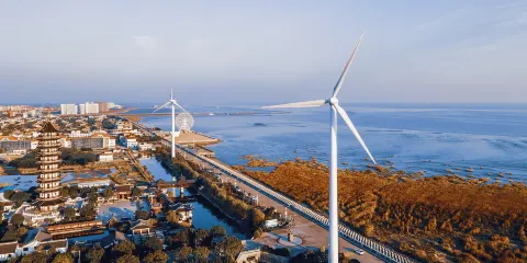 奉賢海灣旅遊區