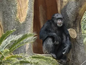 Nanning Zoo