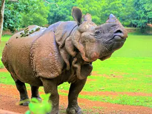 Nandankanan Zoological Park