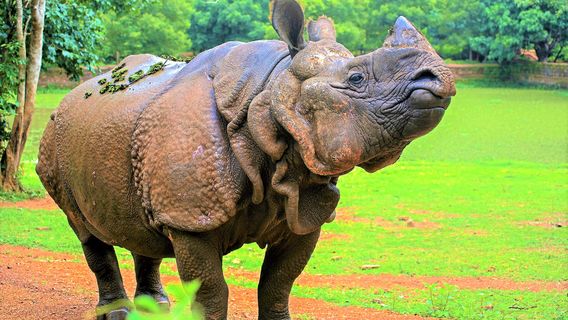 Nandankanan Zoological Park