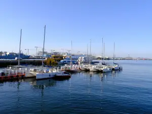 Zhifu Bay Sailing