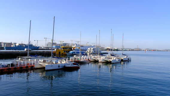 Zhifu Bay Sailing