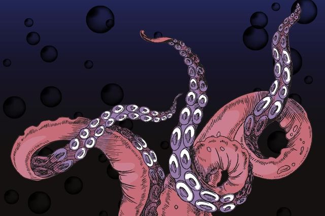 Monsters of the Deep: Science Fact or Fiction? | Aberdeen Art Gallery