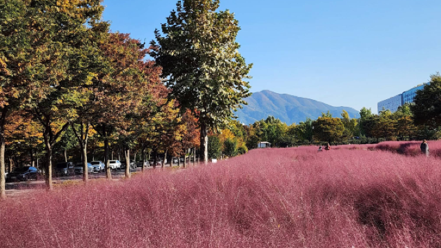 Misari Speedboat Park