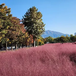 미사경정공원