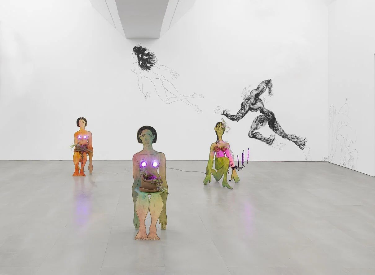 薩埃利亞·阿帕裡西奧個展《快樂的寄生蟲》 | Baltic Centre for Contemporary Art