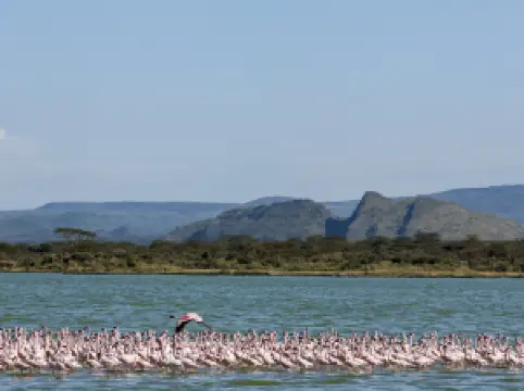 Lake Elmenteita
