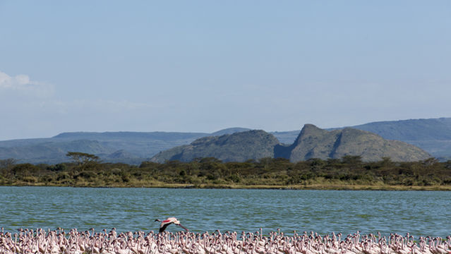 Lake Elmenteita
