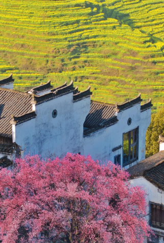 篁嶺第九屆花朝節 | 婺源