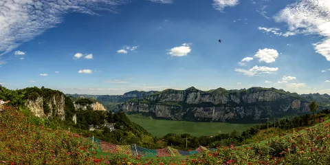 化屋村