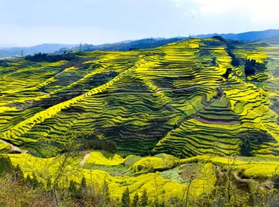 zuan tian po