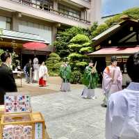 東京大神宮の神前式