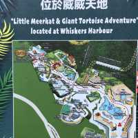 #親子游#香港海洋公園親子游
