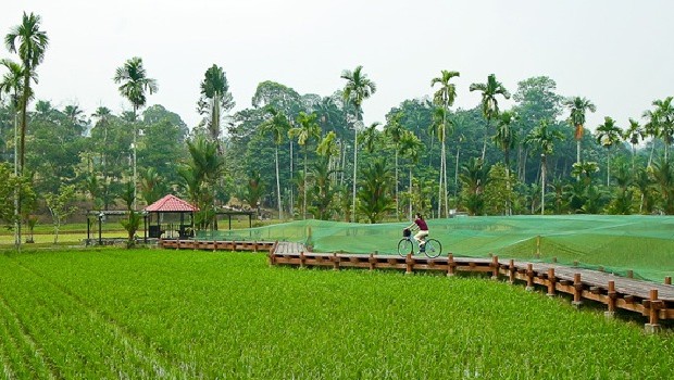 Agricultural Park Travel Guidebook Must Visit Attractions In Shah Alam Agricultural Park Nearby Recommendation Trip Com