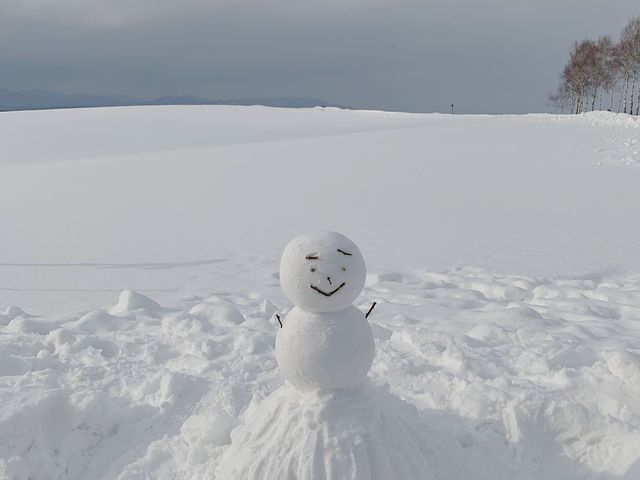 札幌市(삿포로) 비에이 투어