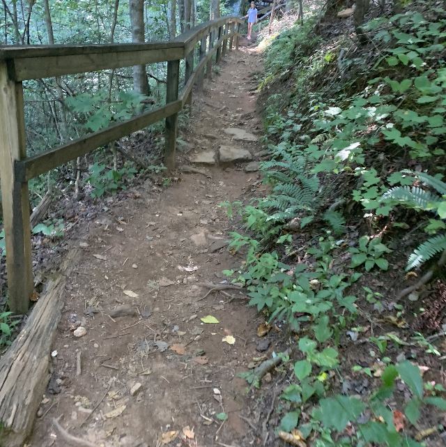 #tripaway
One of our favorite hikes to go on! Walk near the falls in Tallulah Gorge State Park and see the prettiness of nature. I love this hike. It is a little hard, so make sure you are sort of in shape. There is some good places to get some dinner after your hike, so come for a good time of adventure!
#tripaway