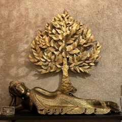 Thai L'Inde User Photo