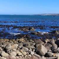 The Magic of Western Cape and SA unspoil