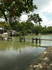 Mulberry Fish Pond Ecological Agriculture Experience Zone