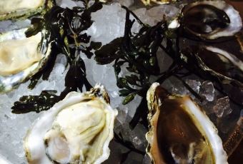 Thai Library User Photo