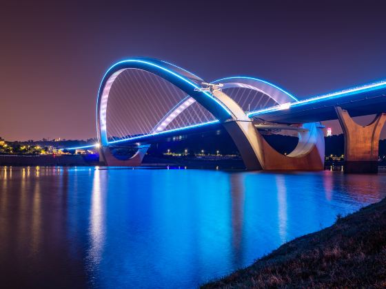 Nanning Bridge