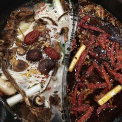 YIN XIANG CHENG DOU User Photo