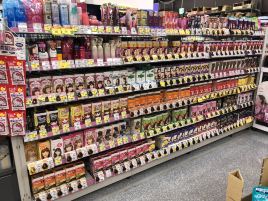 山田电机（Tecc LIFE SELECT 札幌总店）