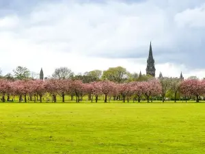 Popular Spring Outings in France