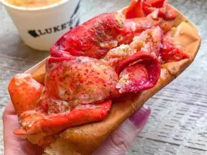 Luke's Lobster FiDi