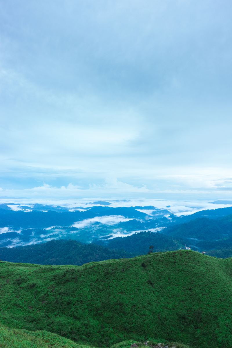 大姆山草場