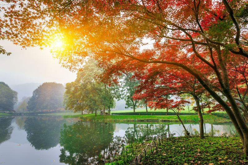 Nakajima Park